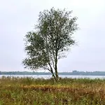 5 Star Holiday Home In Ansager *