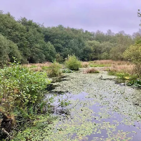 6 Person In * Ansager