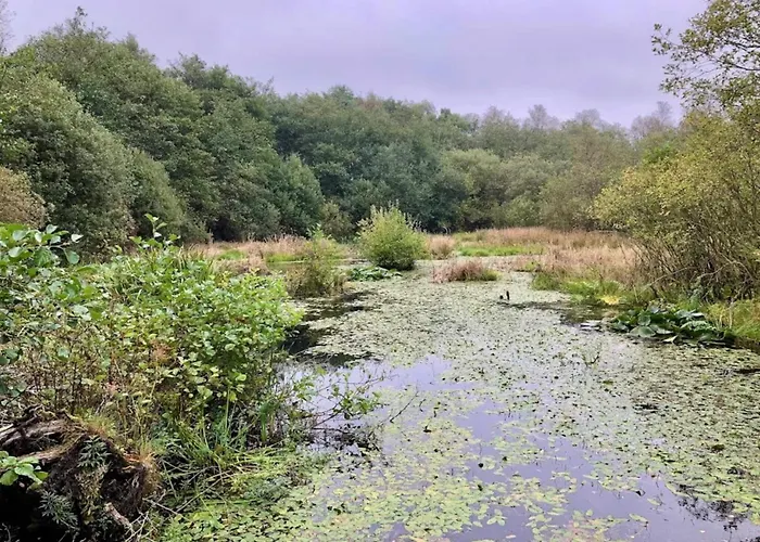 6 Person In * Ansager