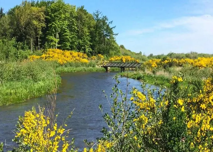 6 Person In Дом отдыха