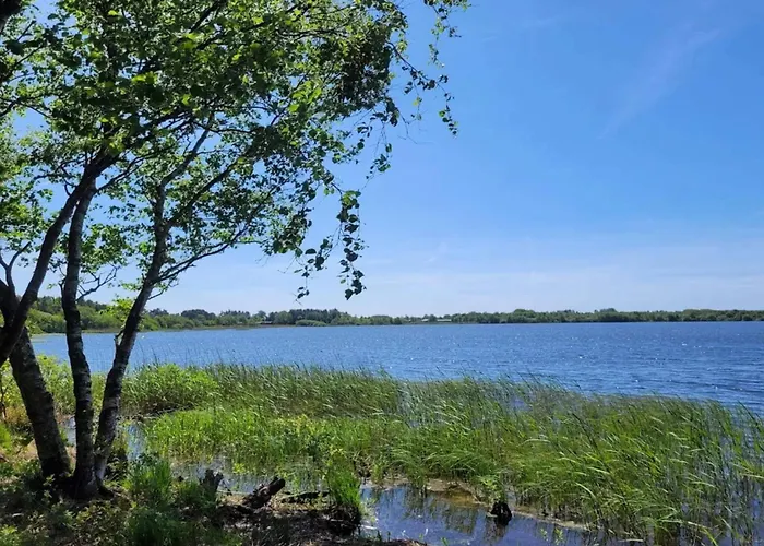 Дом отдыха 6 Person In Ansager